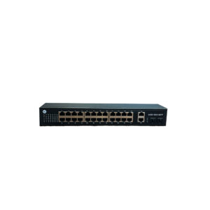 LNG30424GE 24 PORT POE 2XUPLİNK 2X SFP L2